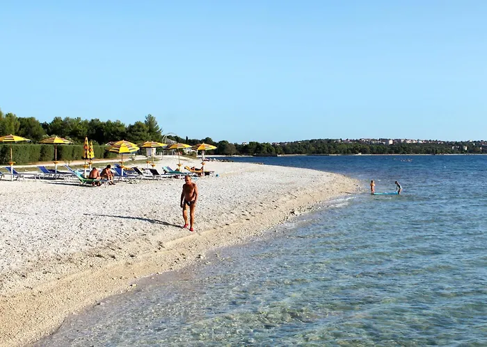 Daire With Parking Space Valbandon, - 23659 Fažana